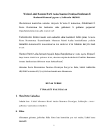 labsii 240.pdf